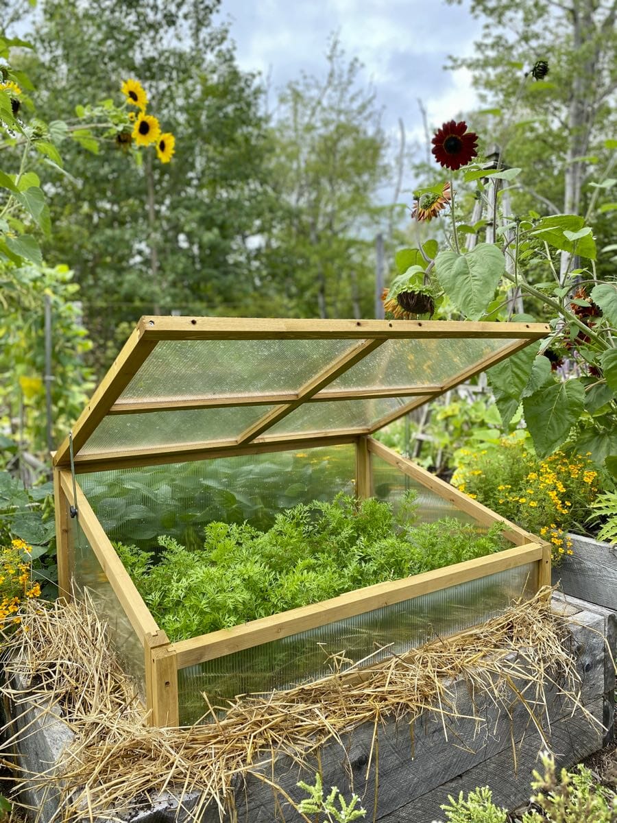 One Of A Garden Asset – Coldframe