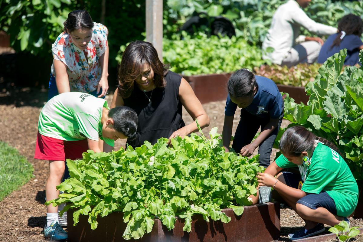 Versatility in Your Summer Garden